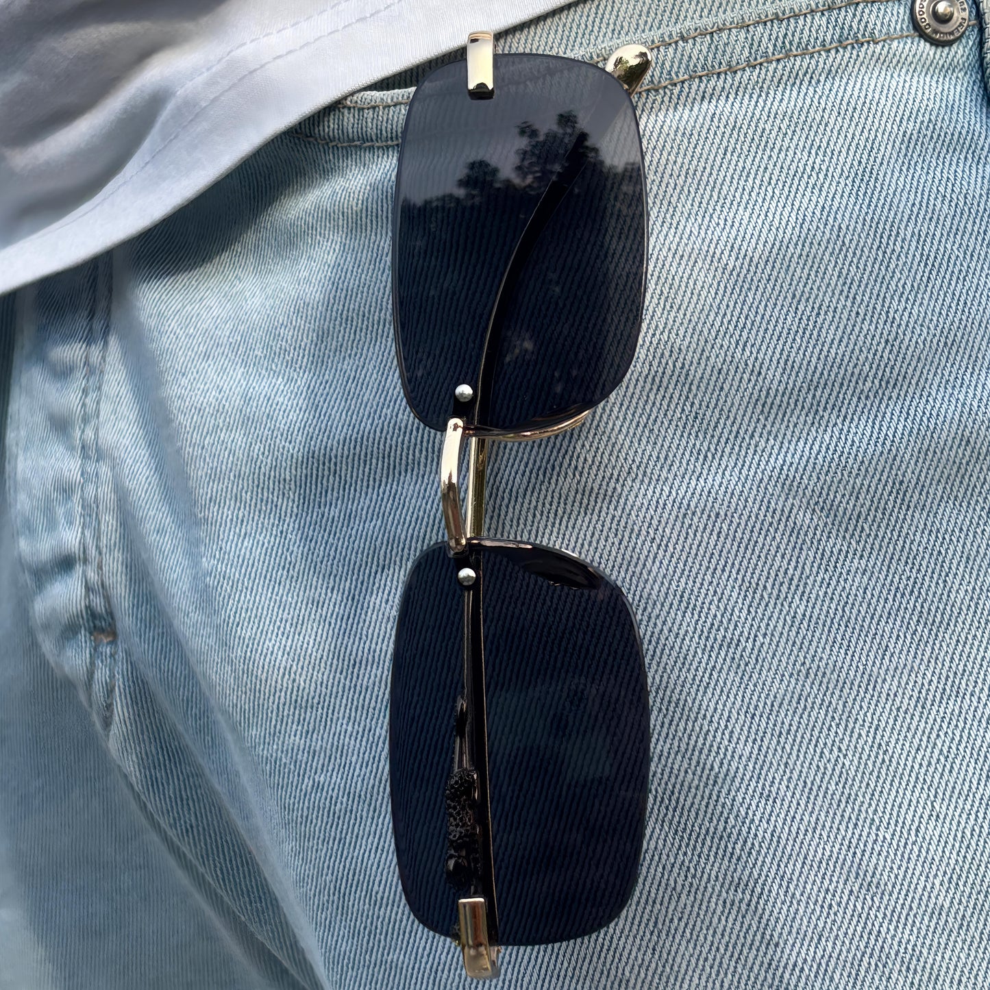 Cosmoir Jaguar Sunglasses