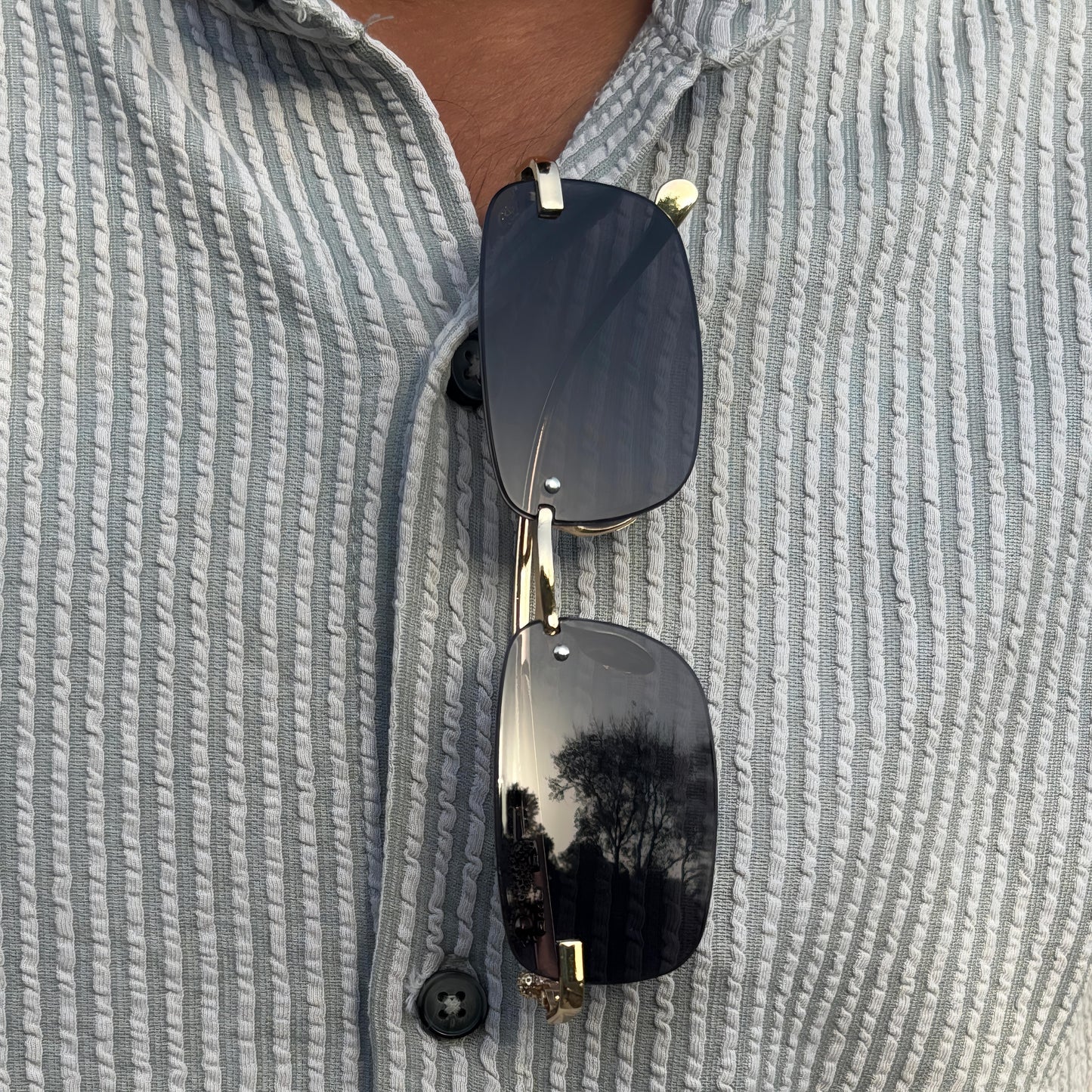 Cosmoir Jaguar Sunglasses