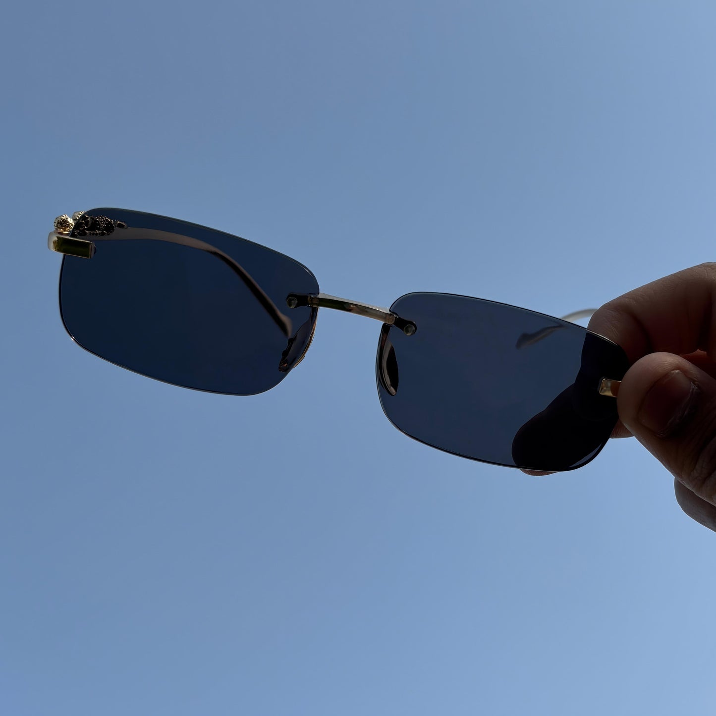 Cosmoir Jaguar Sunglasses