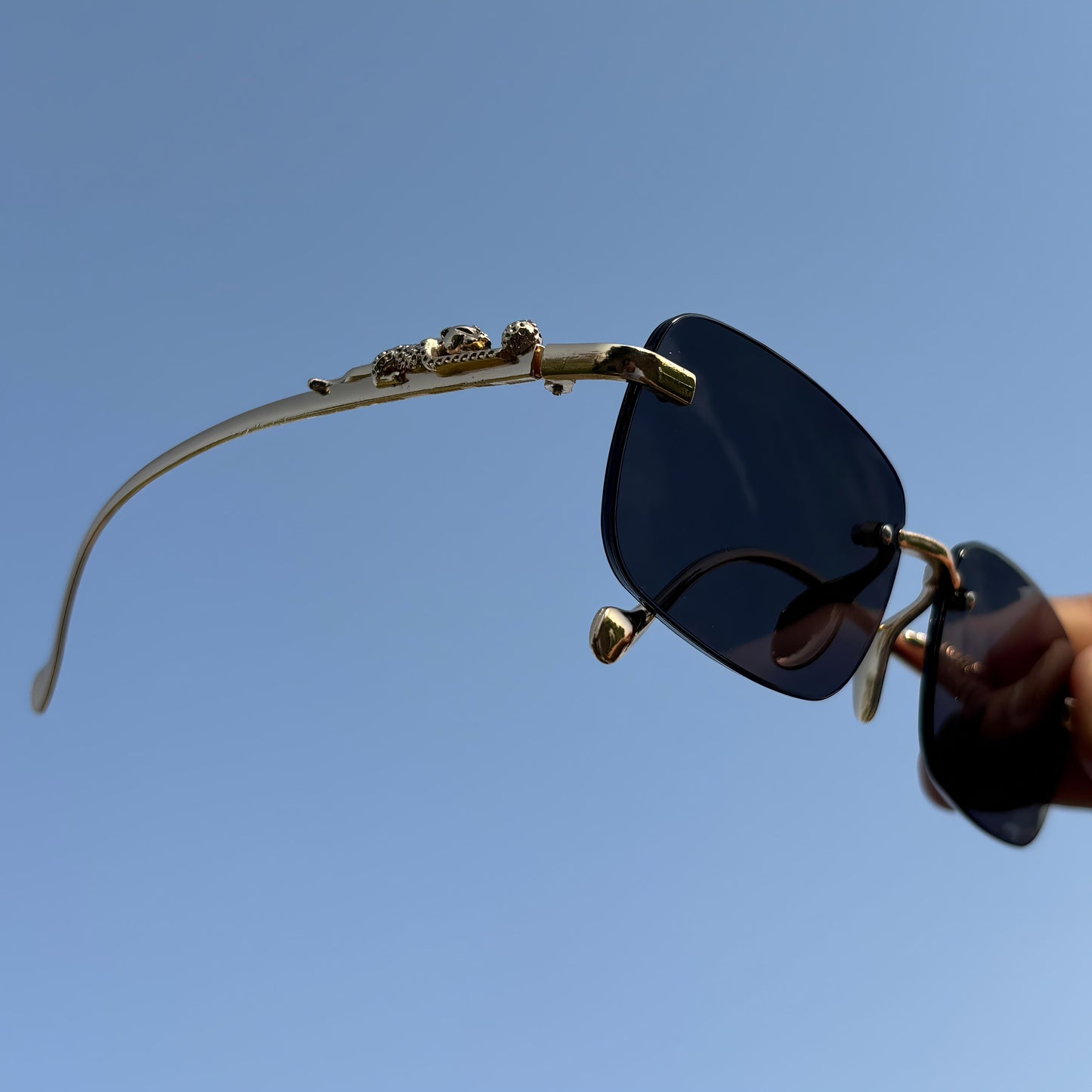 Cosmoir Jaguar Sunglasses